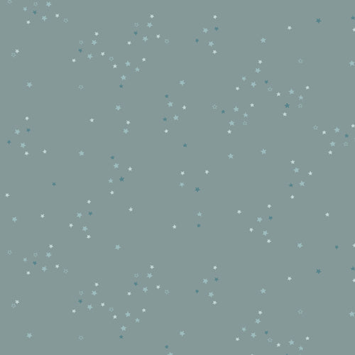 Twinkle Little Stars Sky DESIGNED BY KATARINA ROCCELLA
