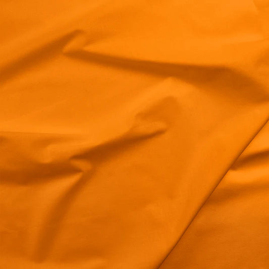 Painters Pallette Tangerine