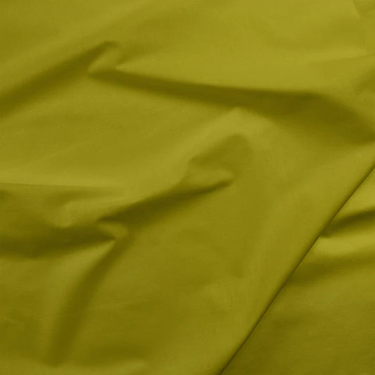 Painters Pallette Wasabi